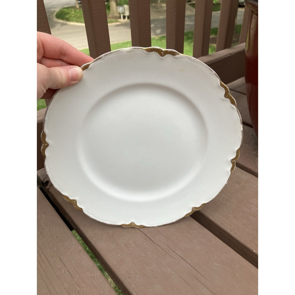 Vintage Cloverland China Patrician 18 Carat Gold Trim Dinner Plate 9.75"
